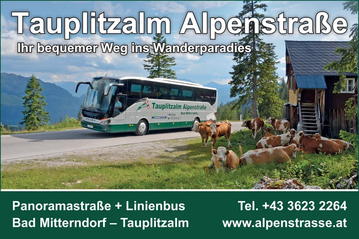 Tauplitzalm Alpenstraße GmbH & Co KG