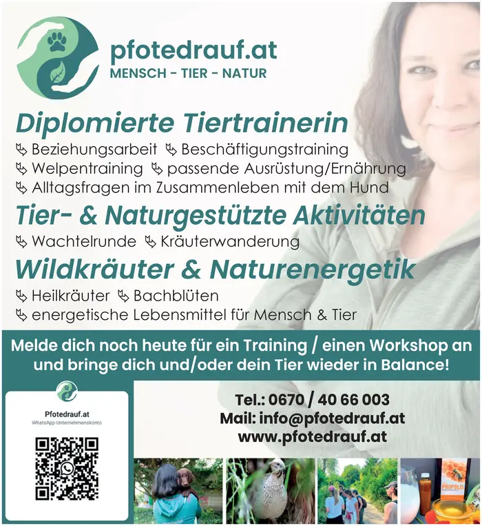 PfoteDrauf Tiertraining Sieber