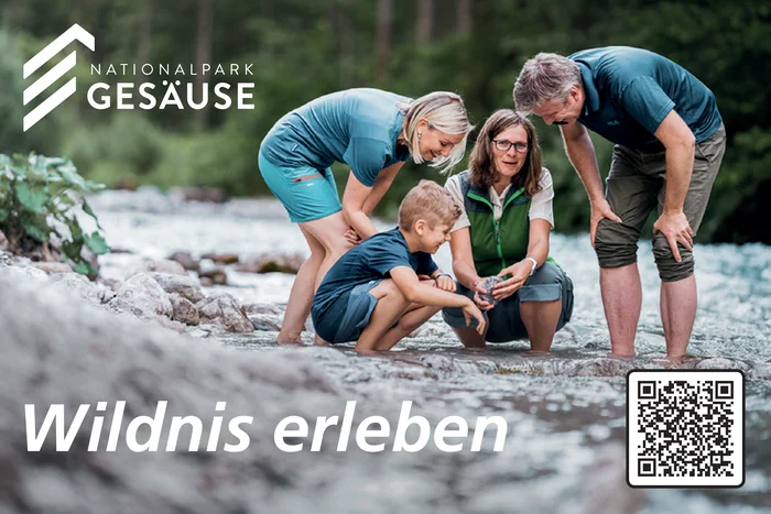 Nationalpark Gesäuse