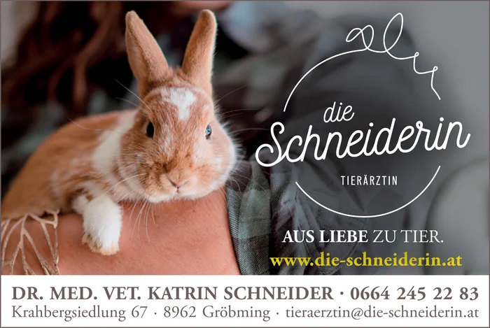 die Schneiderin - Tierärztin