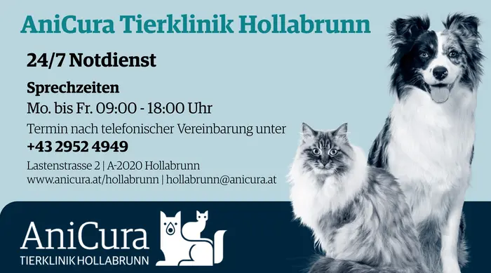 tierklinik