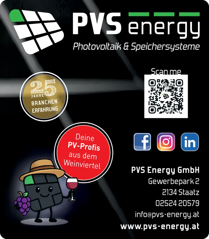 PVS Energy GmbH - Photovoltaik & Speichersysteme