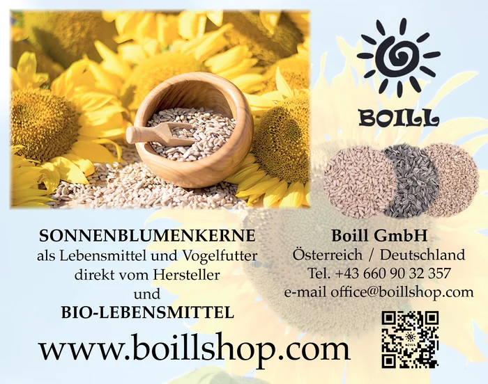 Boill Shop