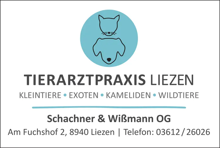 tierarztpraxisliezen