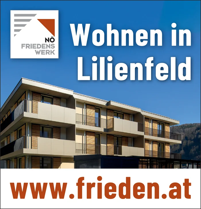 NÖ Friedenwerk GsmbH
