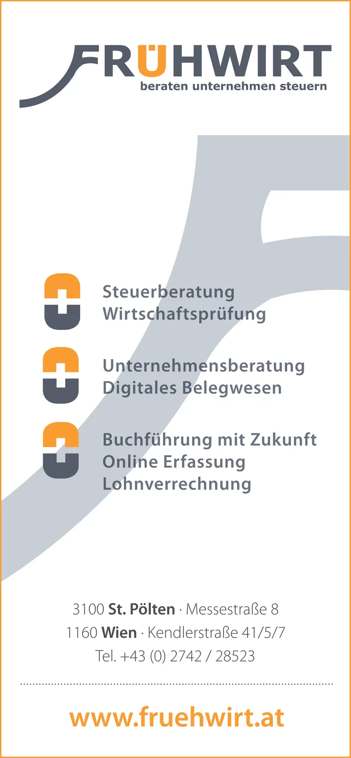 Frühwirt Wirtschaftsprüfungs- und Steuerberatungsges.m.b.H.