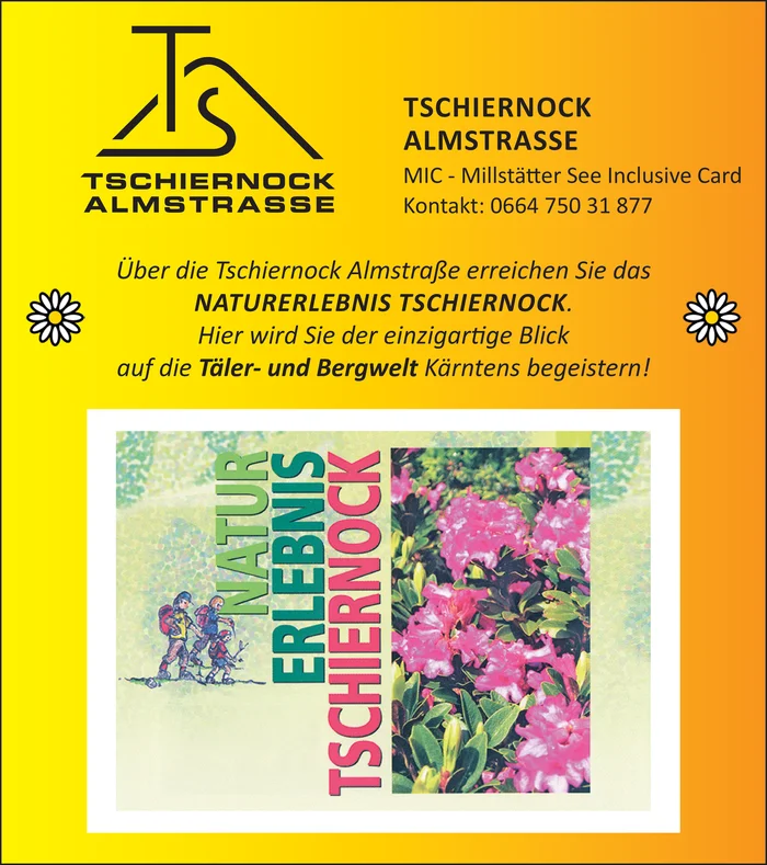 Tschiernock Almstraße