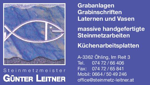 steinmetz_leitner