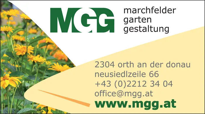 mgg