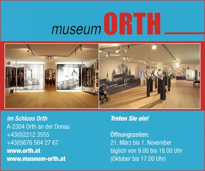 museum_orth