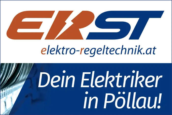 erst_elektiker