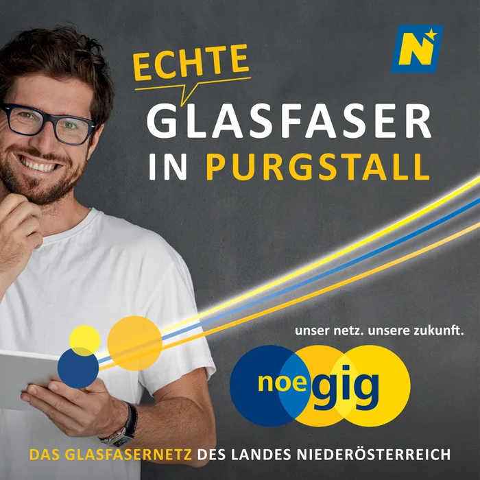 NOEgig