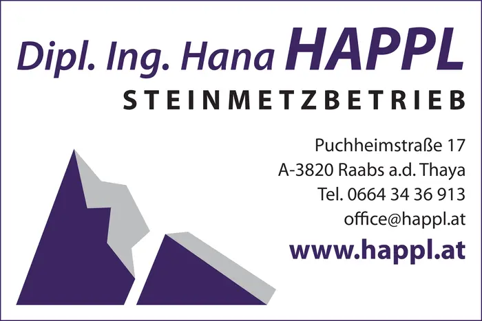 steinmetz_happl