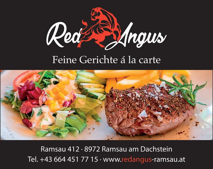 Red Angus Ramsau am Dachstein