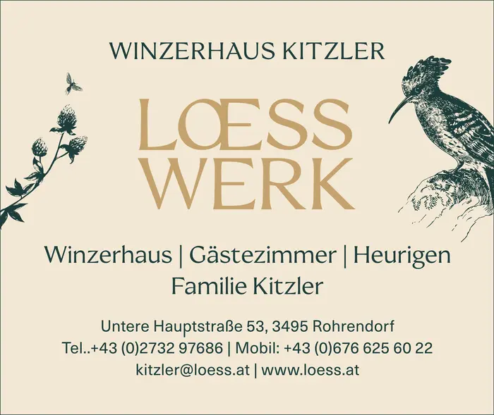 loesswerk_weingut_kitzler