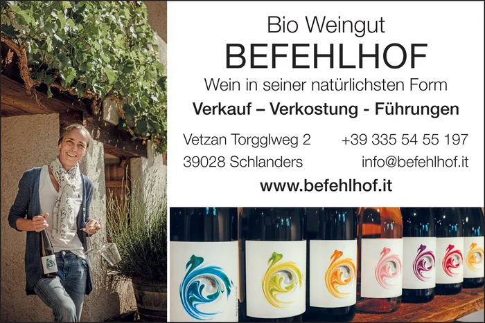 Bio Weingut Befehlhof