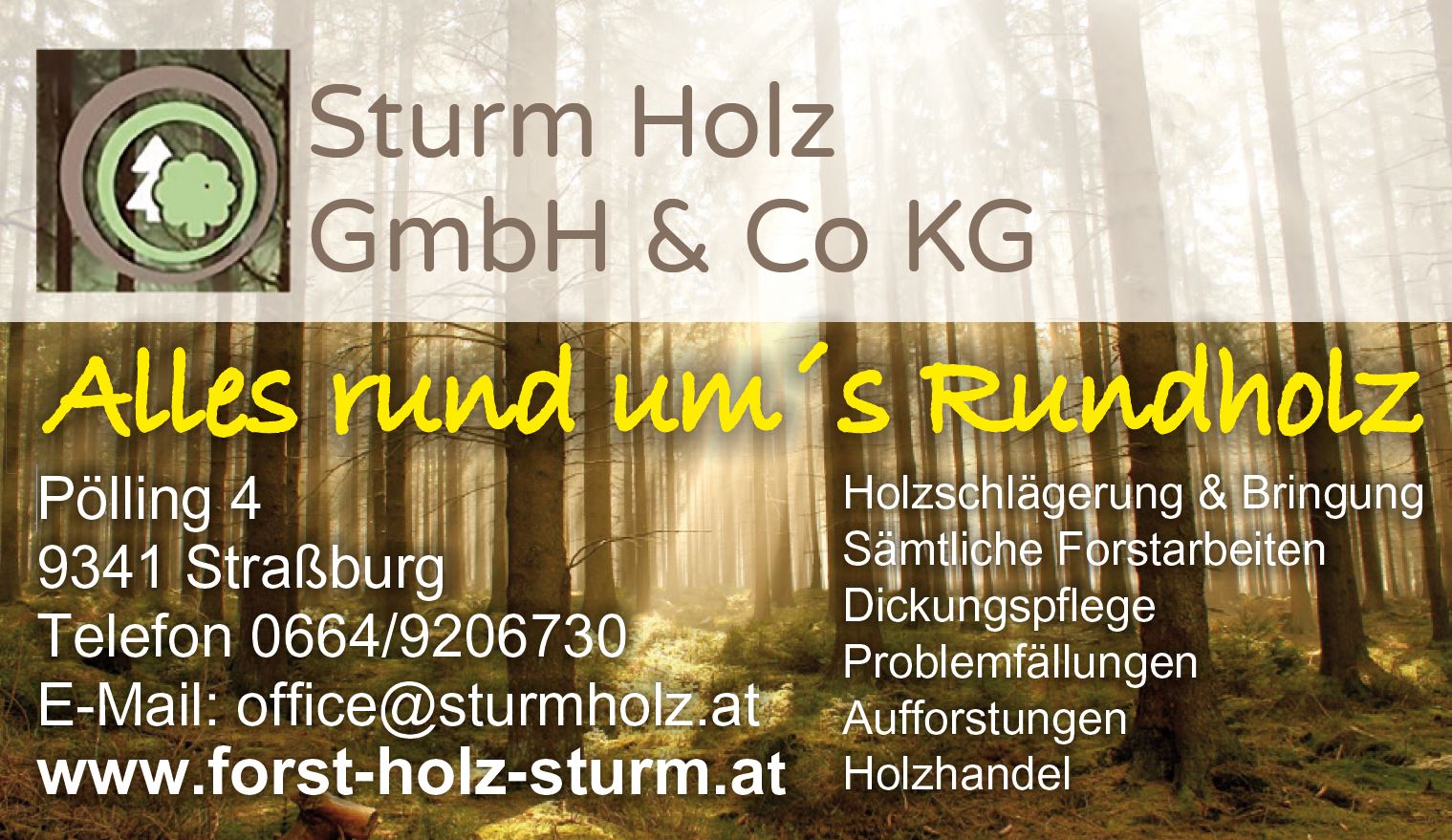 Sturm Holz