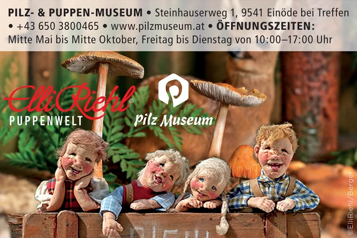 Pilz- & Puppenmuseum Einöde bei Treffen