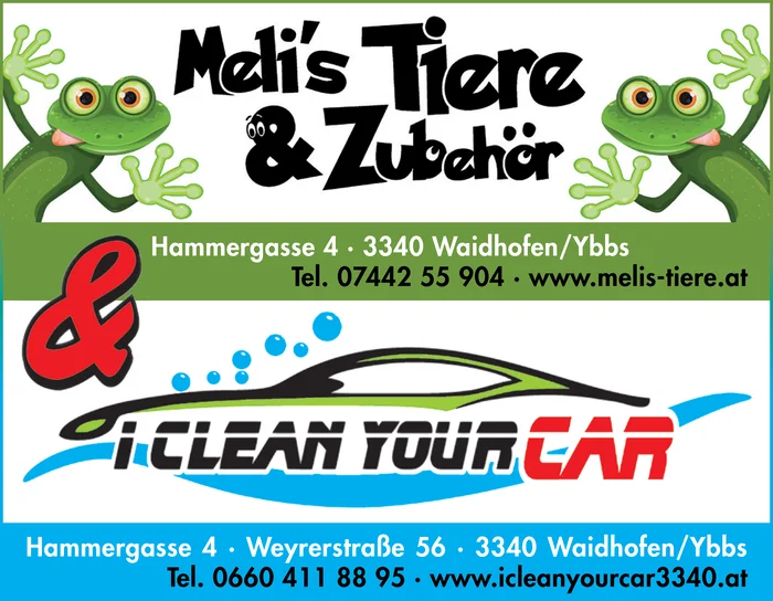 I clean your car