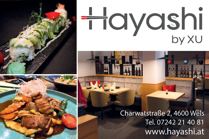 hayashi_by_xu