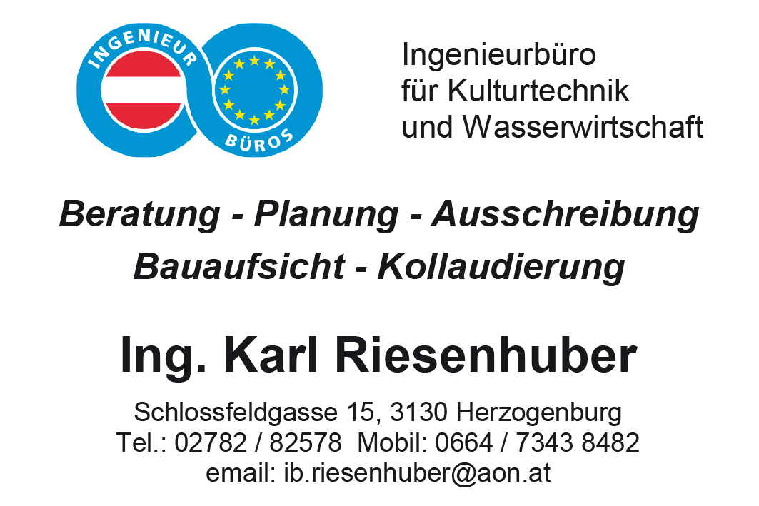 riesenhuber